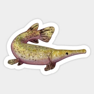 Cozy Alligator Gar Sticker